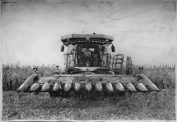Corn Harvest