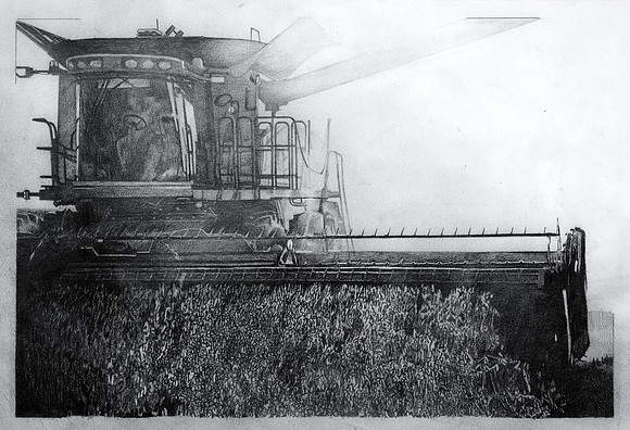 Bean Harvest