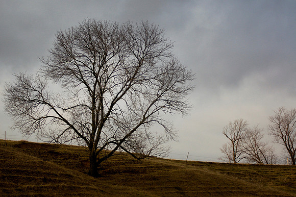 Glasford, IL